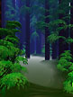 Dawn Redwoods 6k
